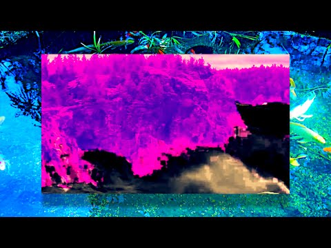 $UICIDEBOY$ - TEMPURA
