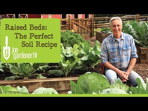 Building Soil for Raised Bed Gardens - The Perfect Soil Recipe