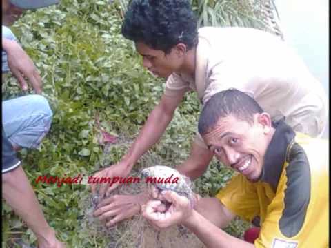 Kristal - Keindahan Pantai