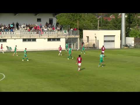 2.SNL (2024/25); Tabor Sežana : Krka (0:1) 29.krog