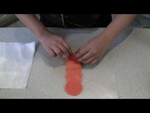 download lagu mp3 mp4 Carrot Rose, download lagu Carrot Rose gratis, unduh video klip Carrot Rose