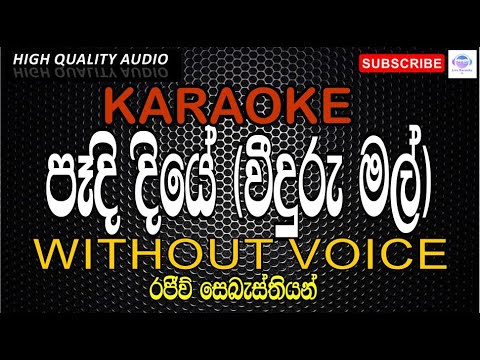 Paadi Diye (Weeduru Mal) Karaoke Without Voice - Rajeew Sebastian