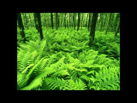 GReeeN - Pinselstrich