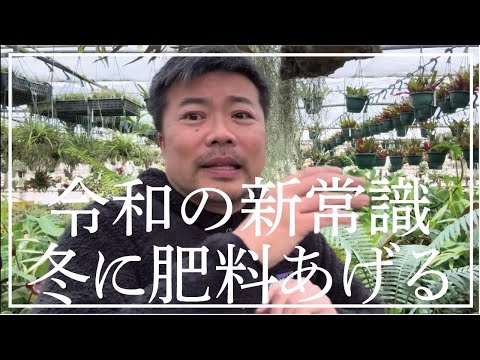 自家製の天然肥料: 植物に肥料を与えて栄養を与えるためにどのような注入液を調合すればよいでしょうか?  庭園