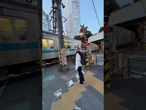 שווה את הכסף לדעתכם? 🫣🫣🫣 #יוליהספקטור #ולוג #טיסה #יוטיוברים #יוםבחיי