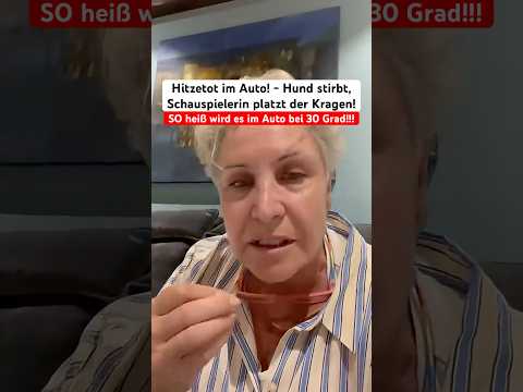 Tödliche Hitze: Tier stirbt qualvoll im Auto trotz aller Warnungen! #shortsviral
