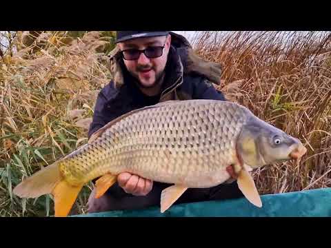 Panorama of Lake Moftinu mic Selective feeder fishing