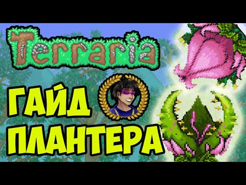 Террария Плантера (2023 | Террария Бутон Плантеры | Как найти Плантеру в Террарии | Террария 1.4.4.x