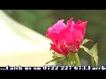 Mwalimu Kendagor ATINDONIK OFFICIAL VIDEO