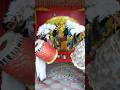 Durga Puja Dhak Astami Dhaker Tale