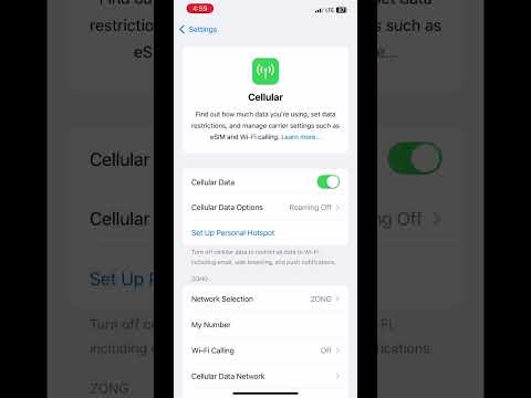 Sim Workings On Non Pta iPhone ✅#viral shortvideos