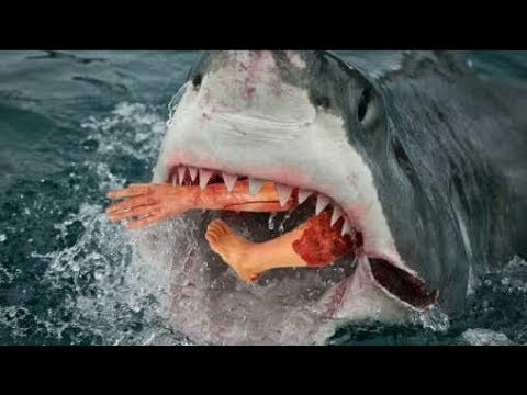 , title : 'Film Hon na žraloka (Shark Killer) 2020online ke shlédnutí'