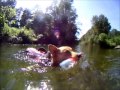 GoPro Pixel The Corgi Goes Swimming