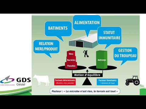 , title : 'GDS - 2020 Outils diarrhée des veaux'