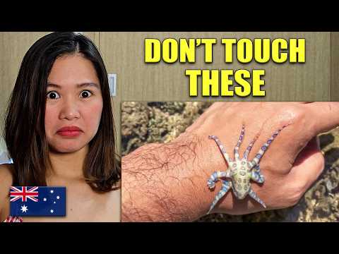 American Girl Reacts to 14 Of The Deadliest Animals In Australia!