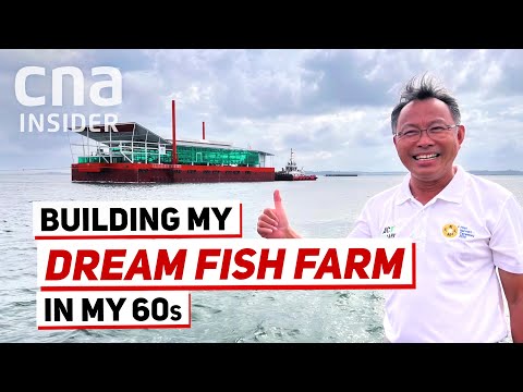 Inside Eco-Ark, A High-Tech Fish Farm In Singapore