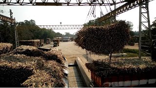 preview picture of video 'Process video of Sugar Mill / Sugar Manufacturing Process / Ds.8 Subrmaniya Siva Coop Sugar mills'
