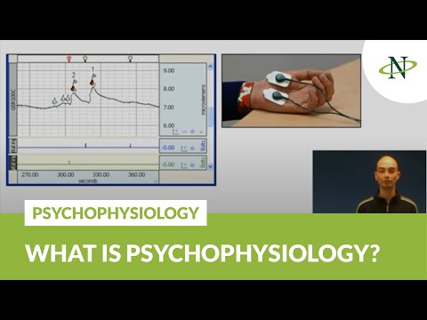 Psychophysiology: The Pulse of Human Experience | Golden Age