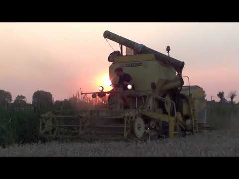 Landb. Annys - Zevekote - Clayson M 103