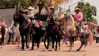 La Dinastía De Tuzantla - El Herradero (Video Oficial)