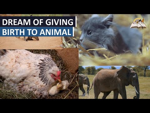 Dream of Giving Birth To ANIMAL - Animal Symbolism and Meaning