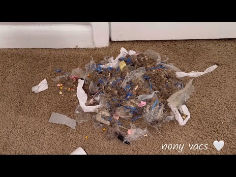 mic’d open hose on natural mix 🦈 regular & 2x speed