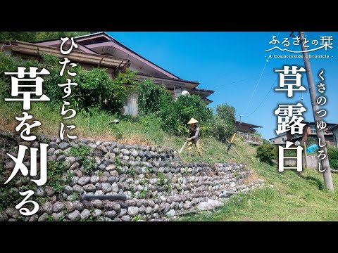 [Rural Japan] Midsummer Weeding and Garden Maintenance | 164