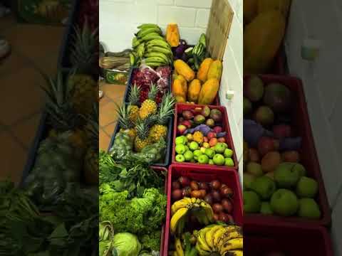 #PlazaDeMercadoBochalema |