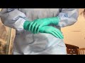 ASMR Green Surgical Gloves Ansell GAMMEX Green Latex Asmr Surgicalgloves Ansell Medicalgloves