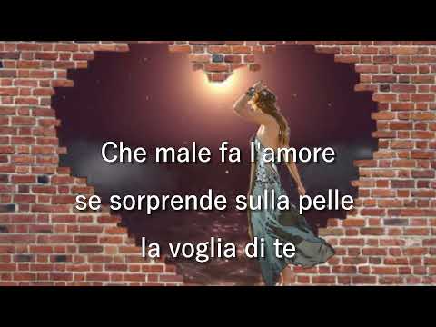 Flavia Fortunato - Aspettami ogni sera 1984 (testo)