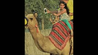 Mary had a little lamb nursery rhyme lullaby - BAD BABY Montage