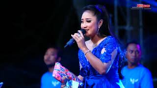 Download lagu Cinta Dalam Derita - Anisa Rahma New Pallapa mp3