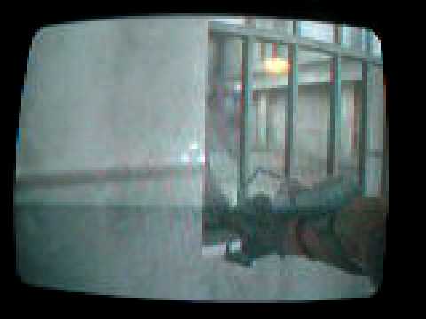 Berserker Splitter in a cage?