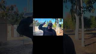 Download lagu I need more time #dayodman #motivation #inspiration mp3