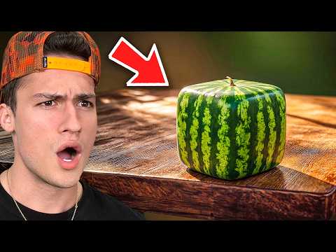 Cool Things That ONLY Exist In Japan!