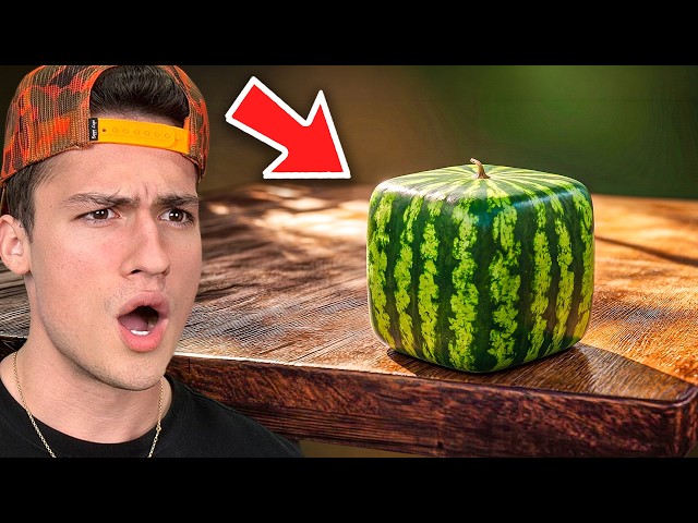 Cool Things That ONLY Exist In Japan!