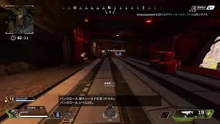 （生放送）超絶初心者のAPEX 下手だけど許して トロール世界選手権代表