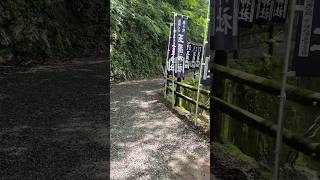 奈良・十津川村 世界遺産 玉置神社⛩️参道 #japan #travel #奈良
