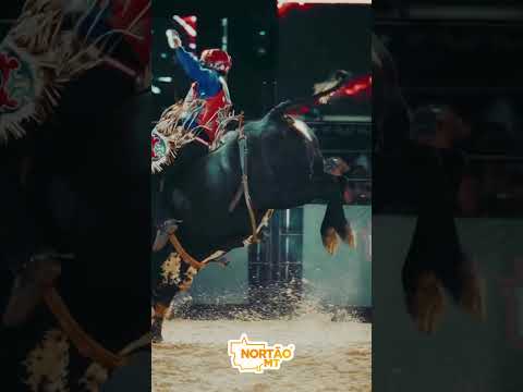 Prefeito Alei Fernandes faz balanço positivo da abertura do GAFFFF e Grand Rodeo e projeta grandes públicos em Sorriso