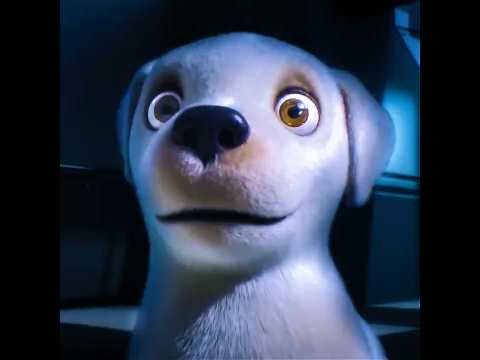 They Laughed at His Size, He Became Their Guide #dogs #trueстory