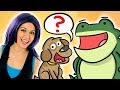 Learn Fun Animal Sounds With Tayla Cool School