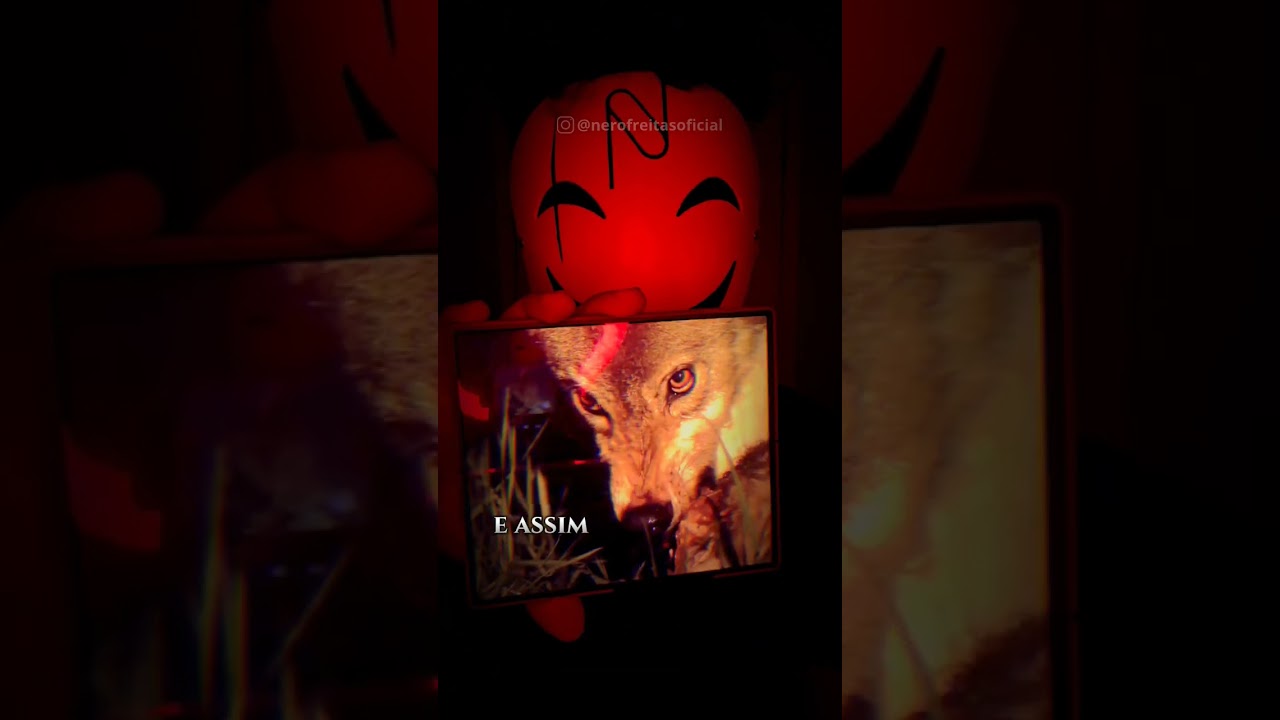 🐺Apenas você pode fazer a diferença... Esteja comigo. #as48leisdopoder #nerofreitas