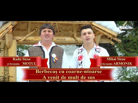 Mihai şi Radu Sicoe  - Duet Colinde