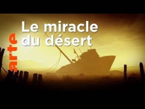 Aral, une mer pour du coton | Points de repères | ARTE ( Réupload )