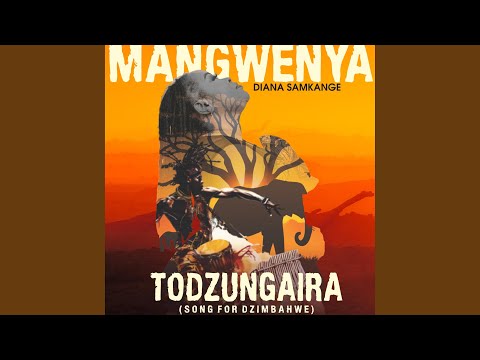 Todzungaira(Song for Dzimbahwe)mp3