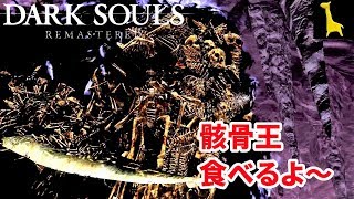 【ダークソウル リマスター】字幕実況#27 巨人墓場 ボス 墓王ニト PS4版 DARK SOULS REMASTERED