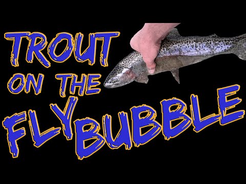 Fly Fishing with a Spinning Rod and Reel!