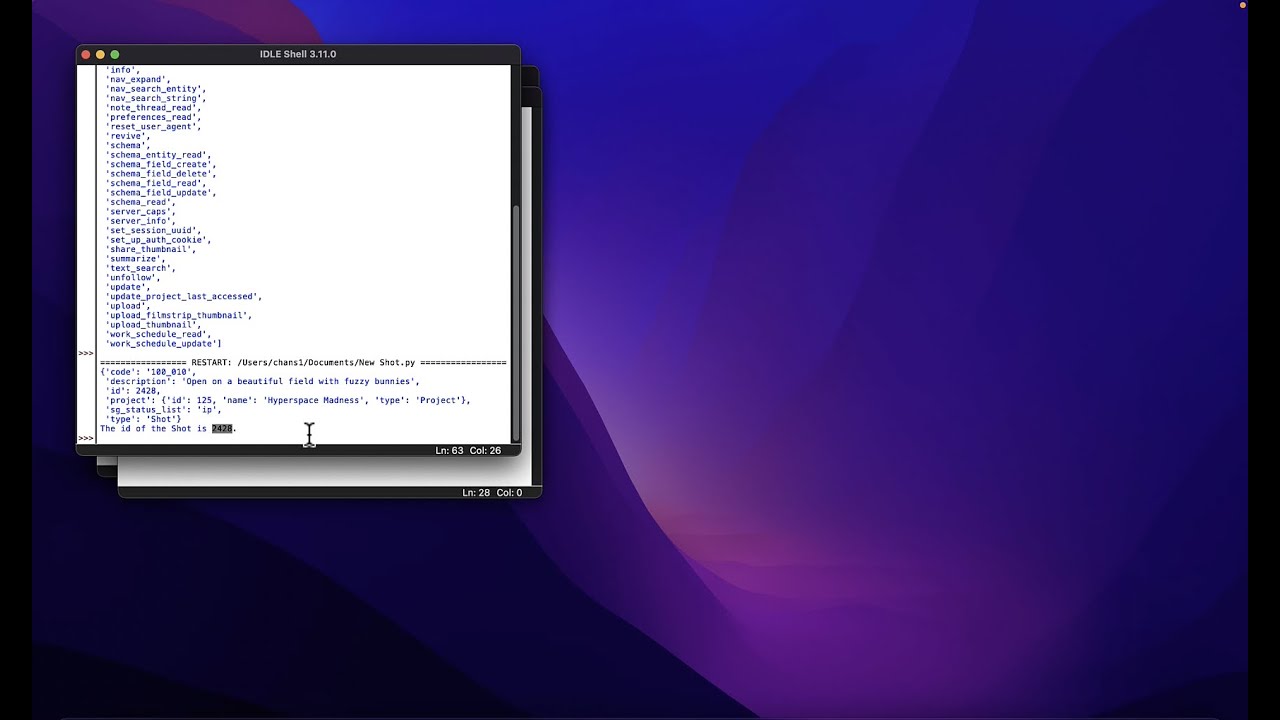 Setting Up Your Environment with the Python API