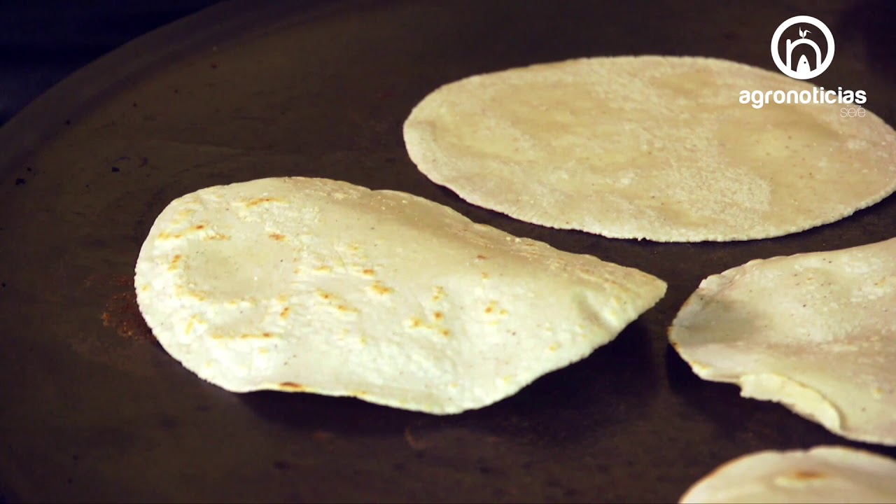 ¿Cuál es la diferencia entre las tortillas de maíz amarillas y blancas