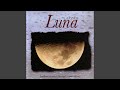 Eclipse De Luna